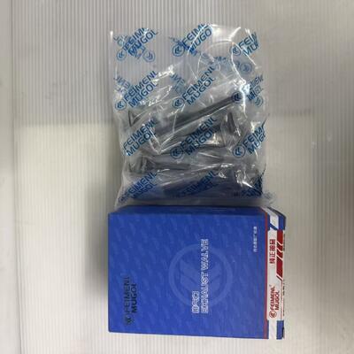 Buen precio Válvula de escape profesional de posventa 1007012-ED01 para motores Great Wall 4D20D y 4D20B, ideal para reconstrucción y reparación de motores. en línea